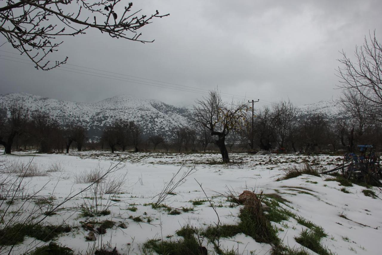 Appartamento Vasilikata Agios Konstantinos  Esterno foto