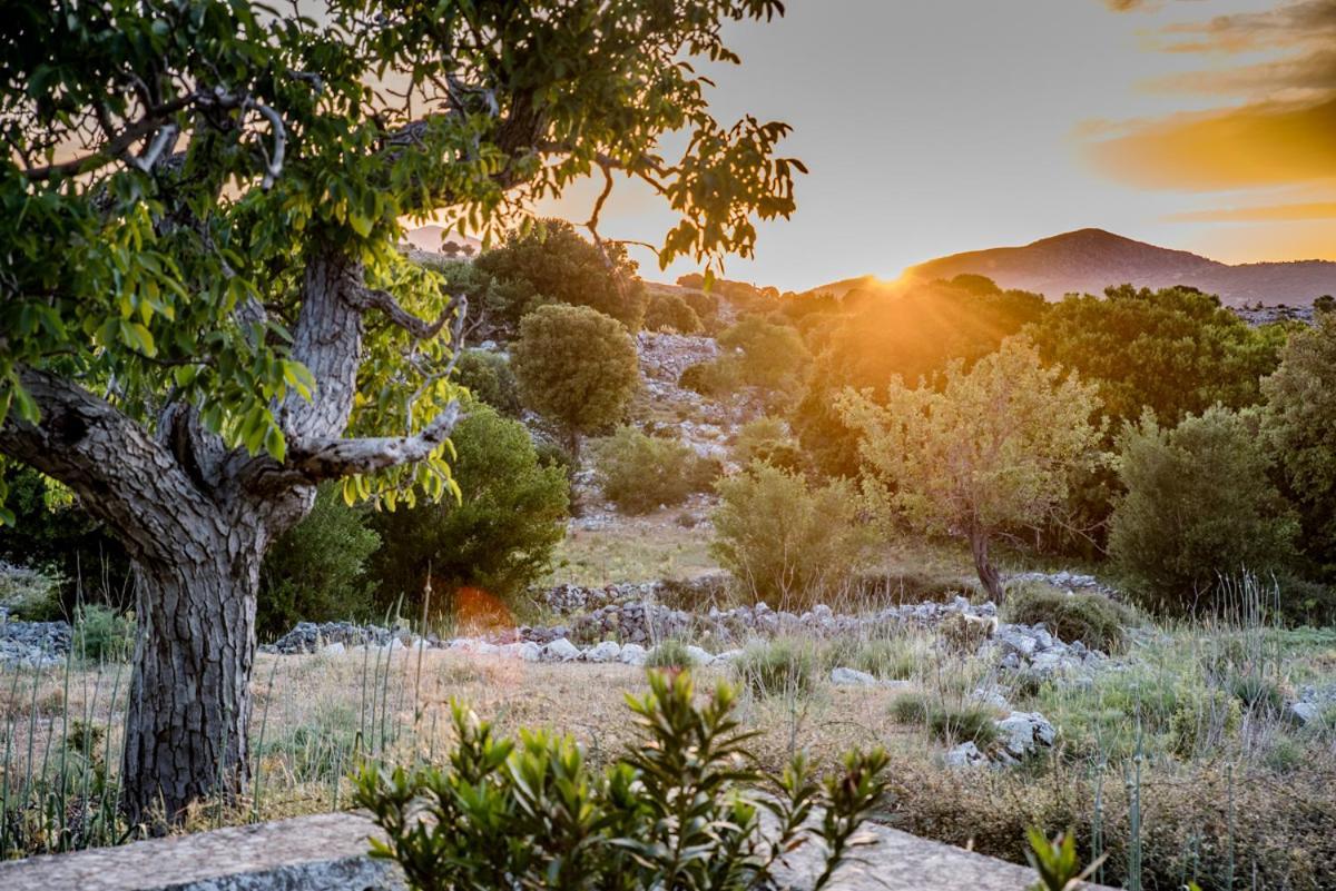 Appartamento Vasilikata Agios Konstantinos  Esterno foto